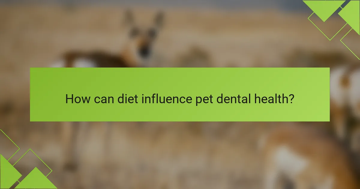 How can diet influence pet dental health?