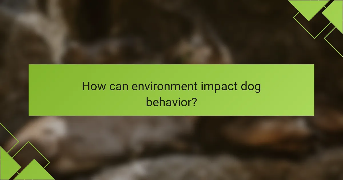 How can environment impact dog behavior?