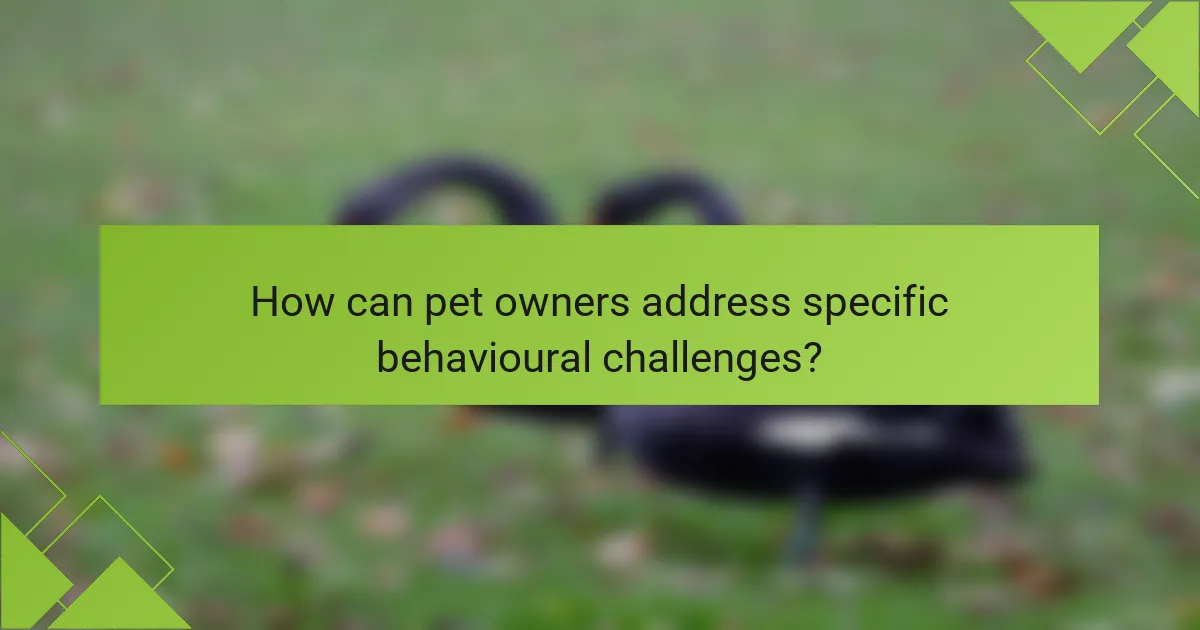 How can pet owners address specific behavioural challenges?