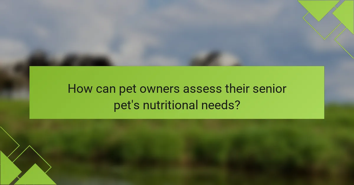 How can pet owners assess their senior pet's nutritional needs?
