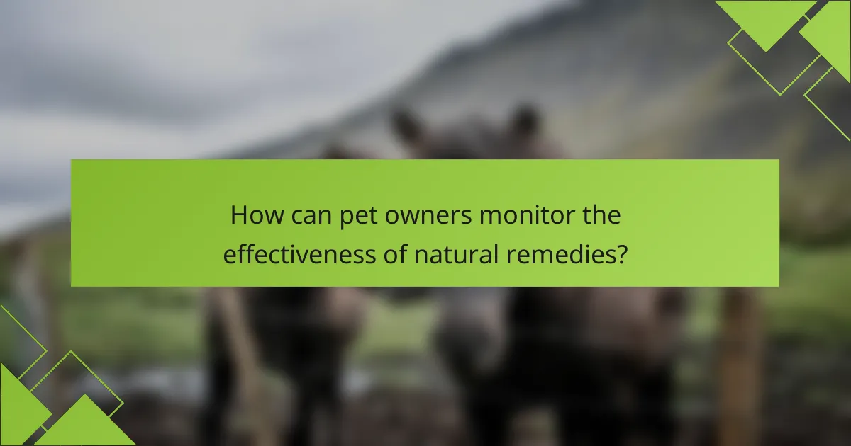 How can pet owners monitor the effectiveness of natural remedies?