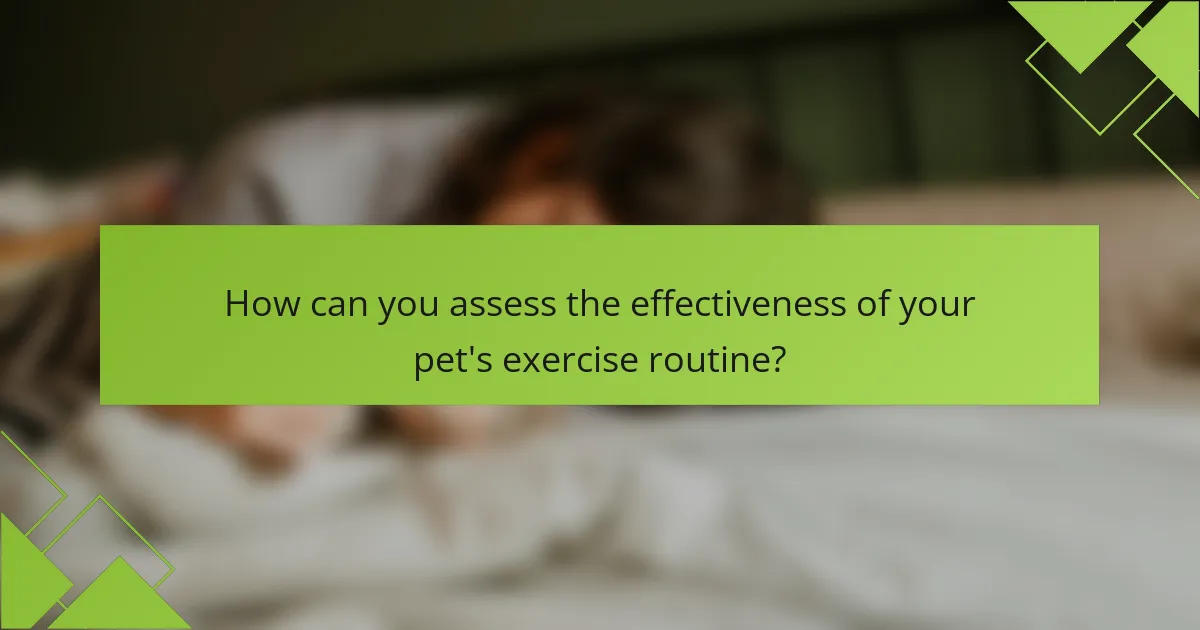 How can you assess the effectiveness of your pet's exercise routine?