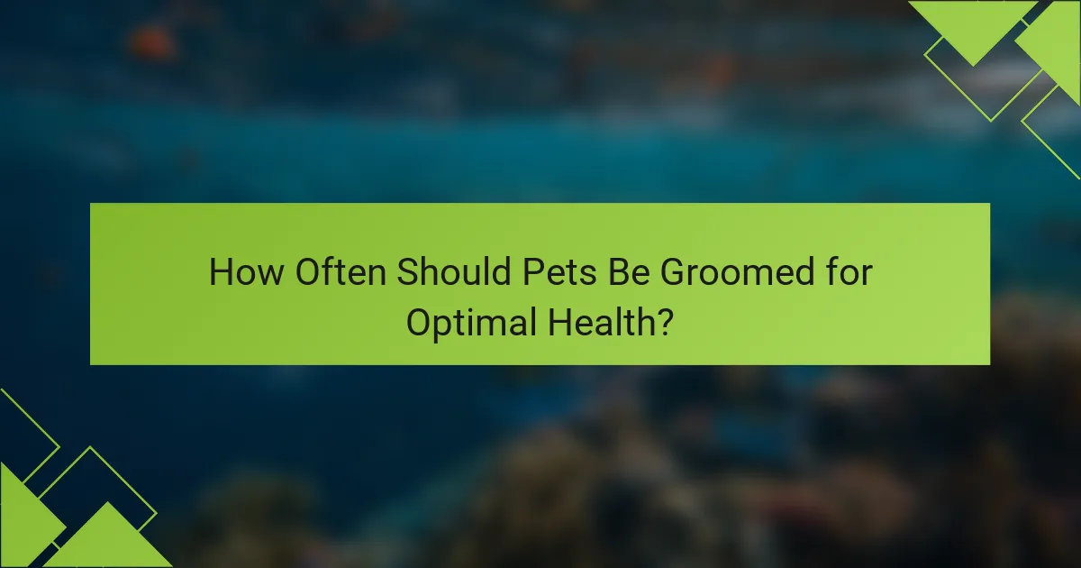 How Often Should Pets Be Groomed for Optimal Health?
