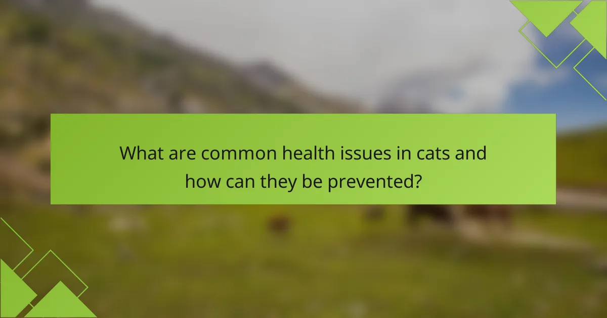 What are common health issues in cats and how can they be prevented?
