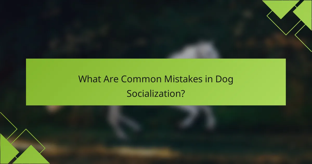 What Are Common Mistakes in Dog Socialization?