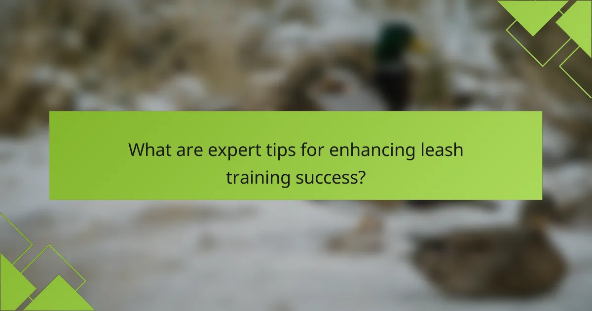 What are expert tips for enhancing leash training success?
