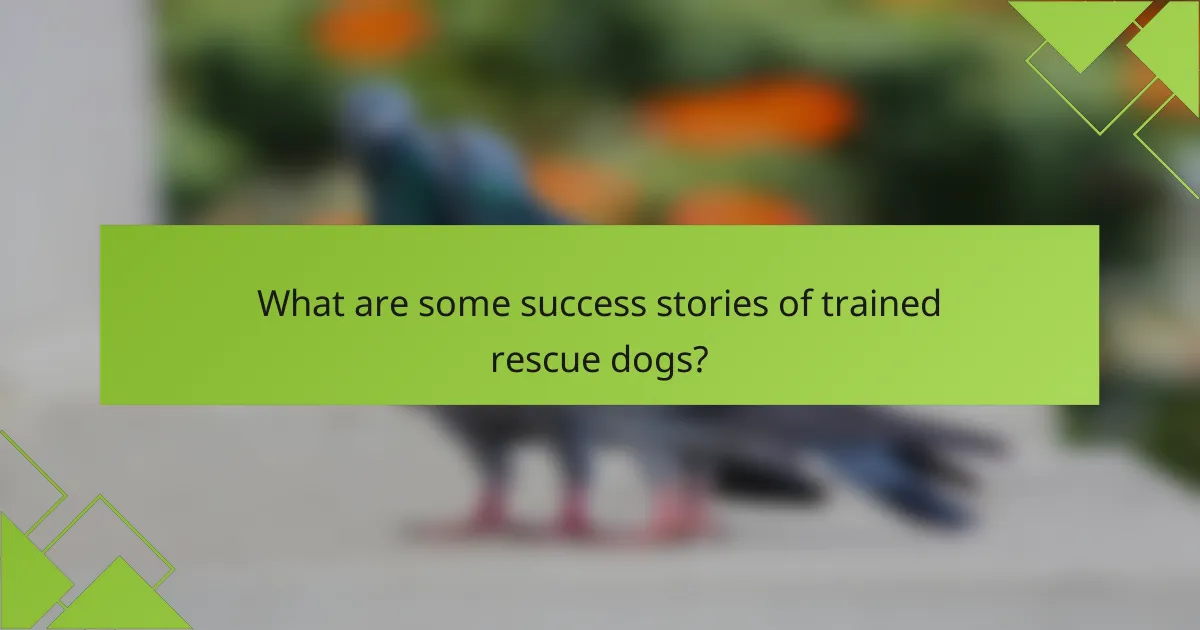What are some success stories of trained rescue dogs?