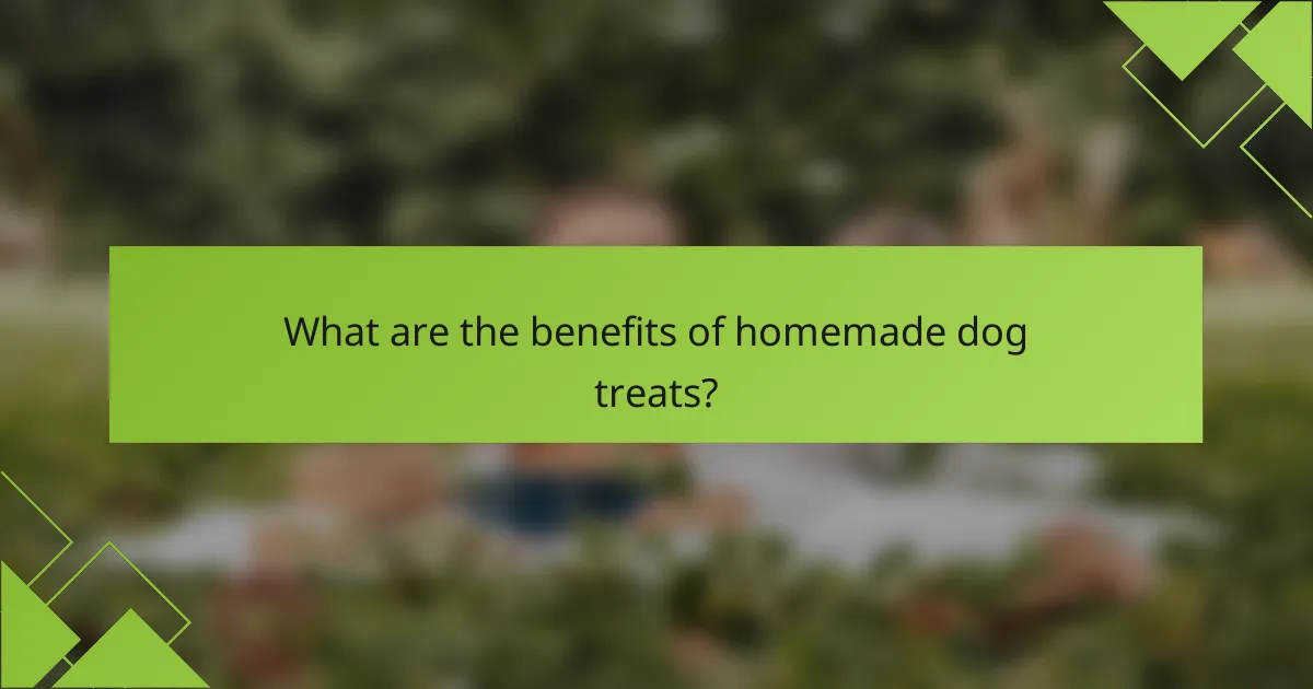 What are the benefits of homemade dog treats?