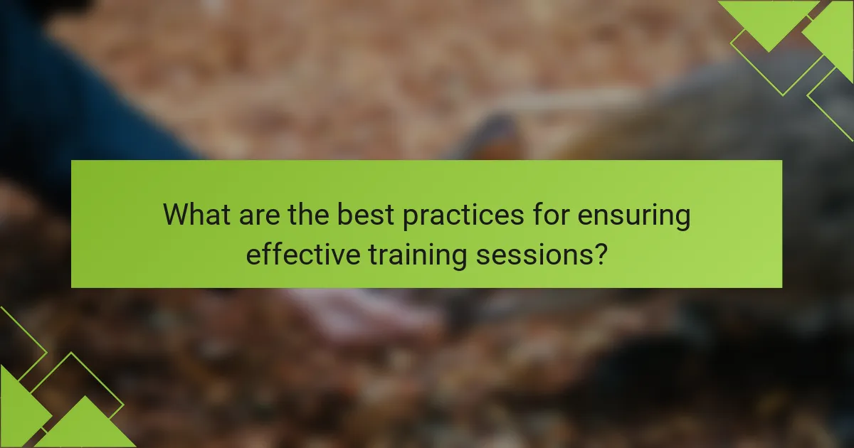What are the best practices for ensuring effective training sessions?