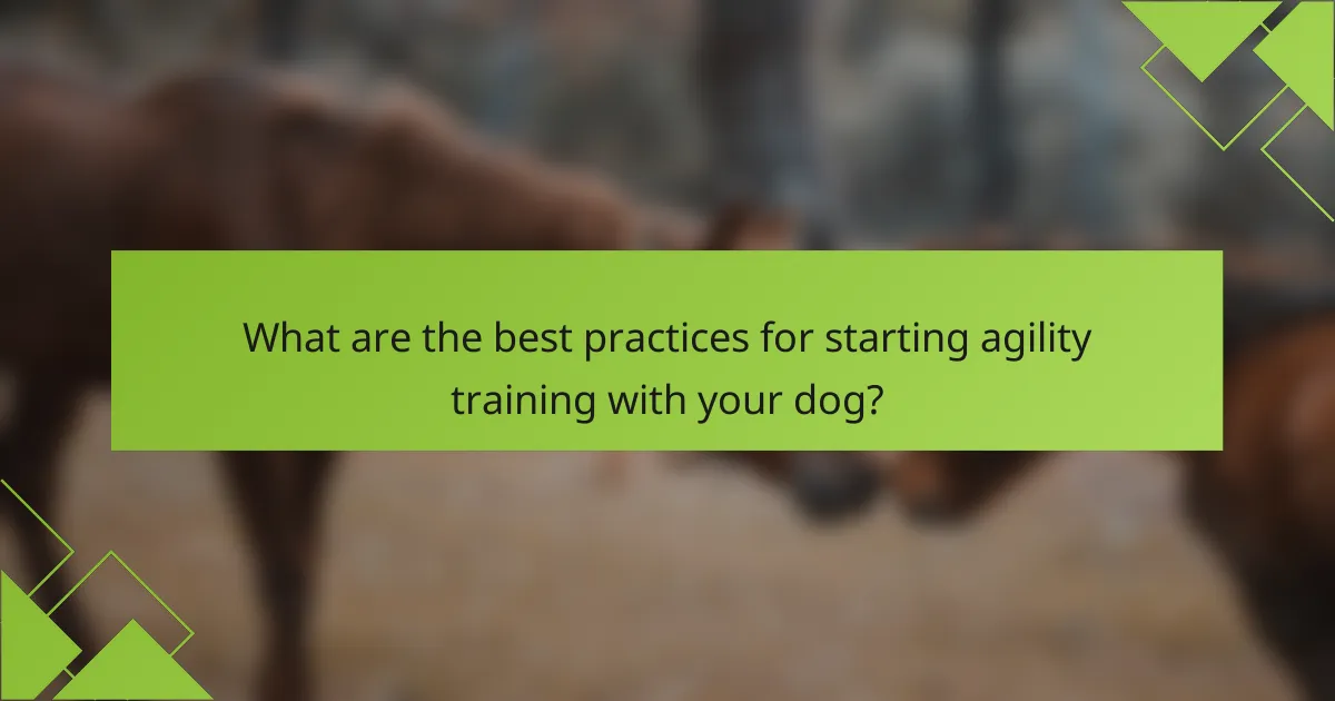 What are the best practices for starting agility training with your dog?