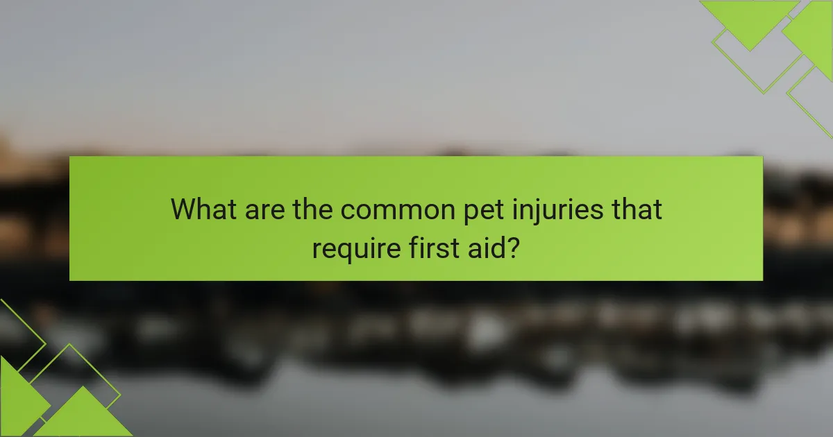 What are the common pet injuries that require first aid?