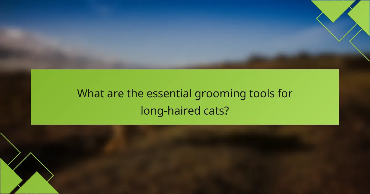 What are the essential grooming tools for long-haired cats?