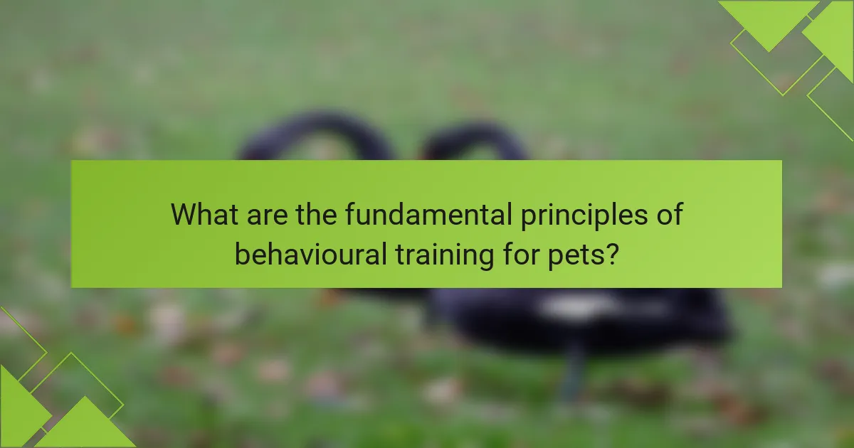 What are the fundamental principles of behavioural training for pets?