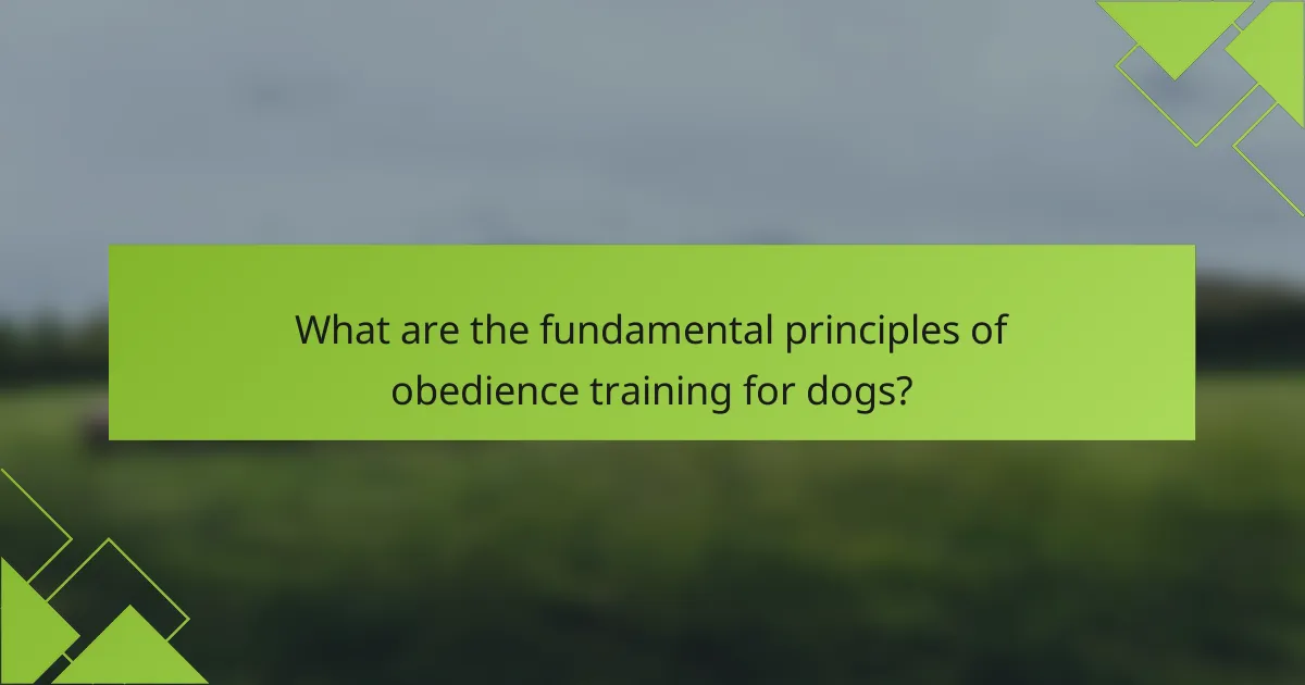 What are the fundamental principles of obedience training for dogs?