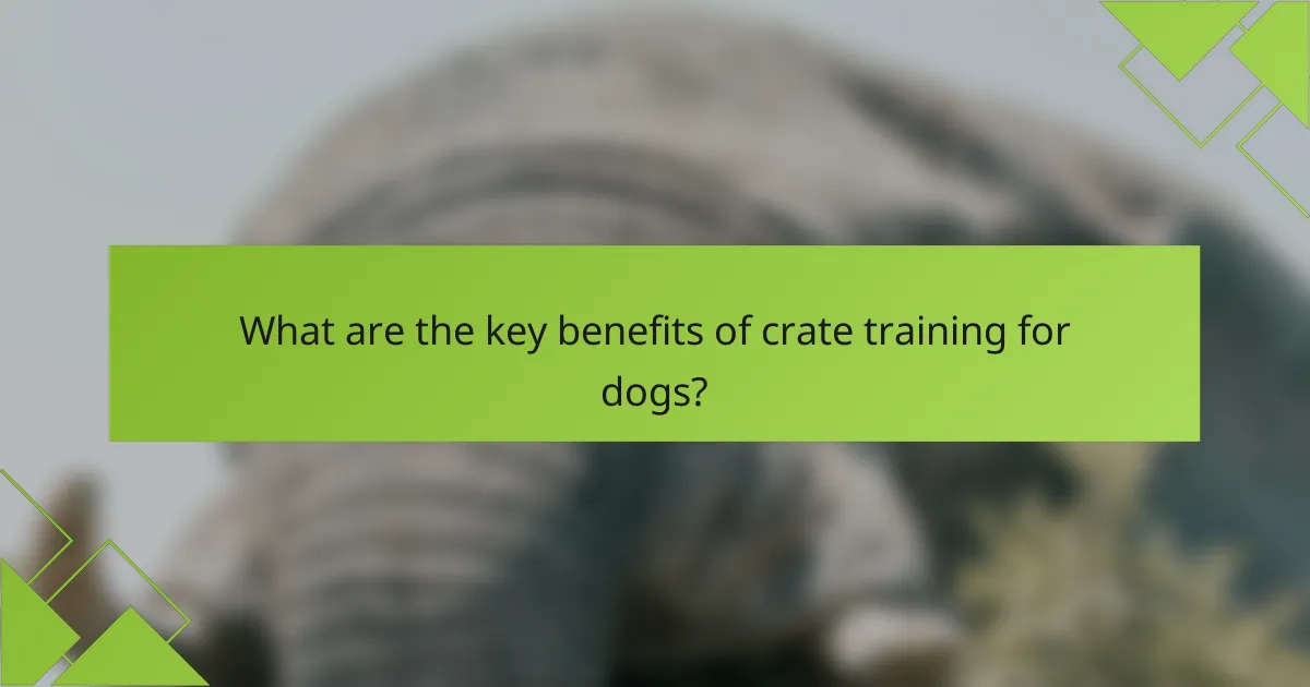 What are the key benefits of crate training for dogs?