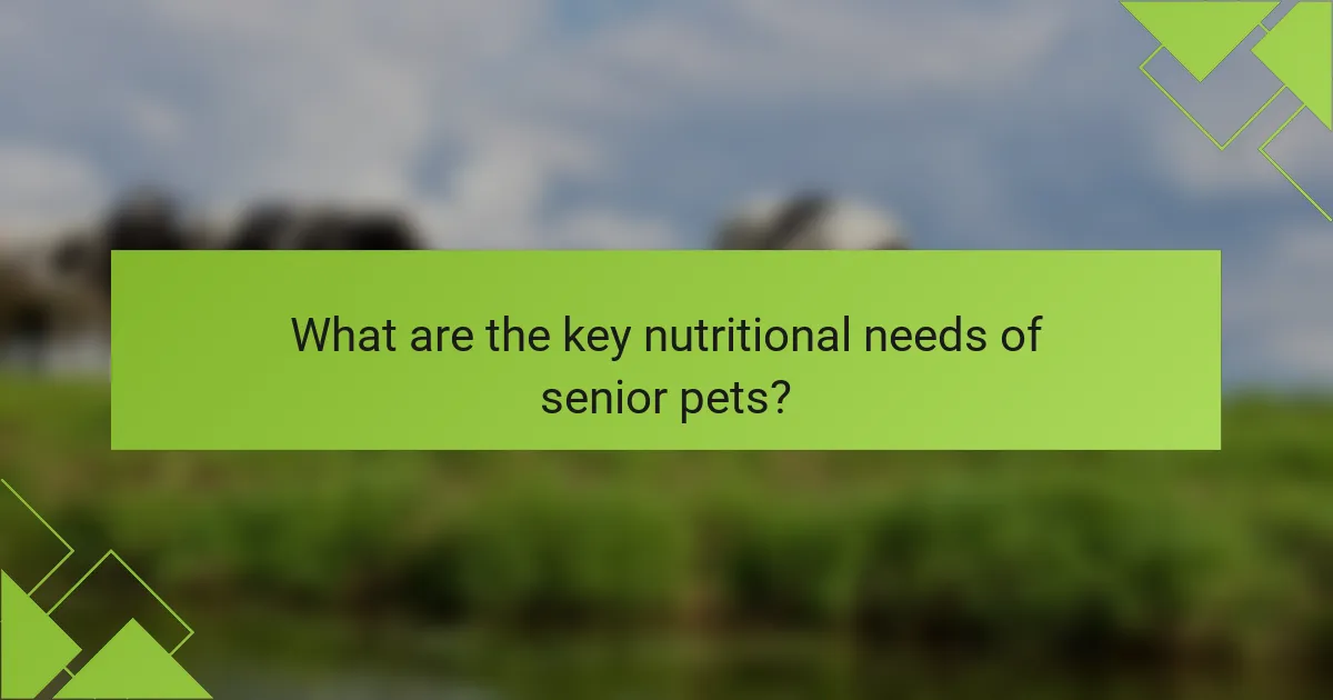 What are the key nutritional needs of senior pets?