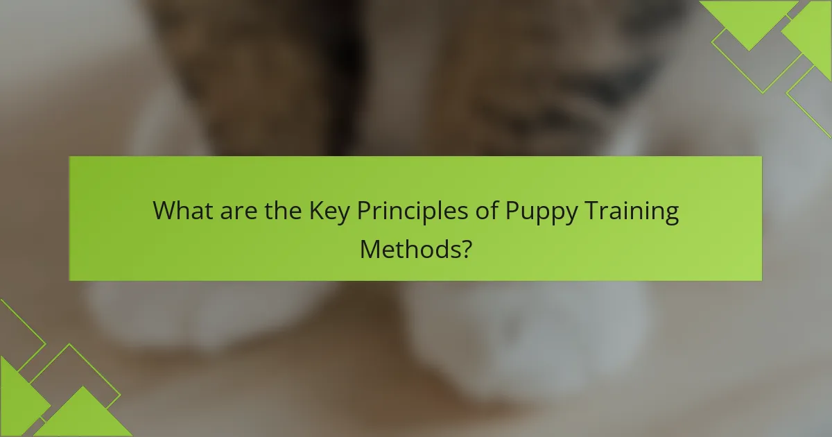 What are the Key Principles of Puppy Training Methods?