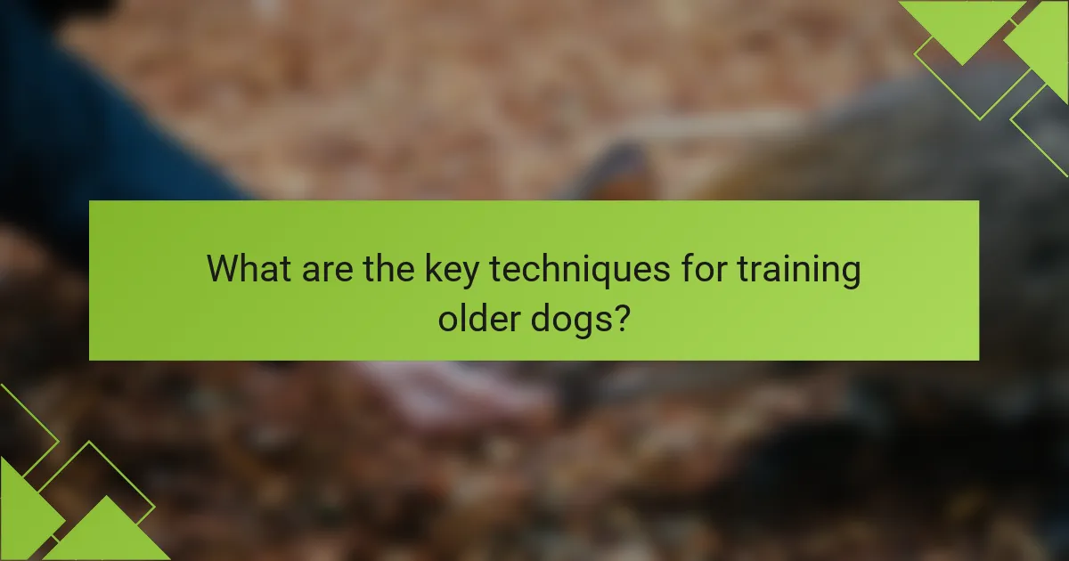 What are the key techniques for training older dogs?