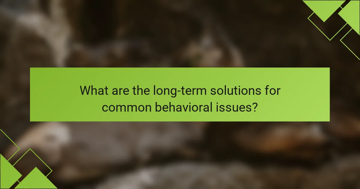 What are the long-term solutions for common behavioral issues?