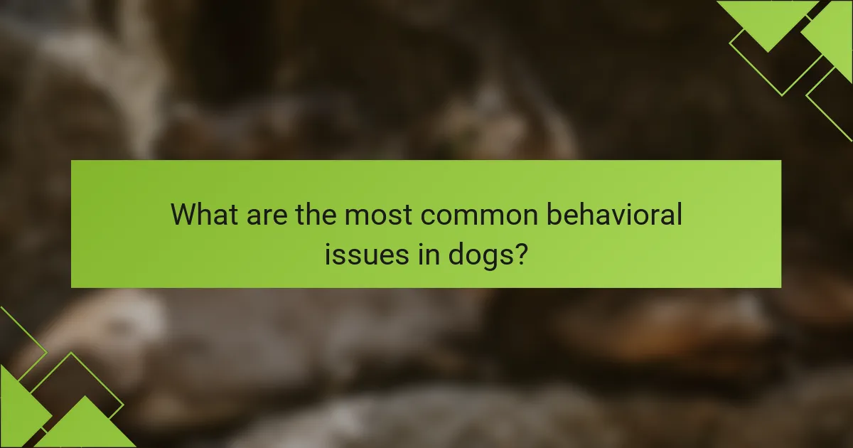 What are the most common behavioral issues in dogs?