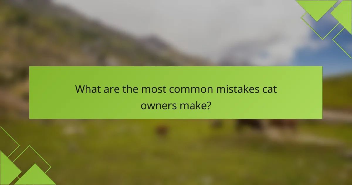 What are the most common mistakes cat owners make?