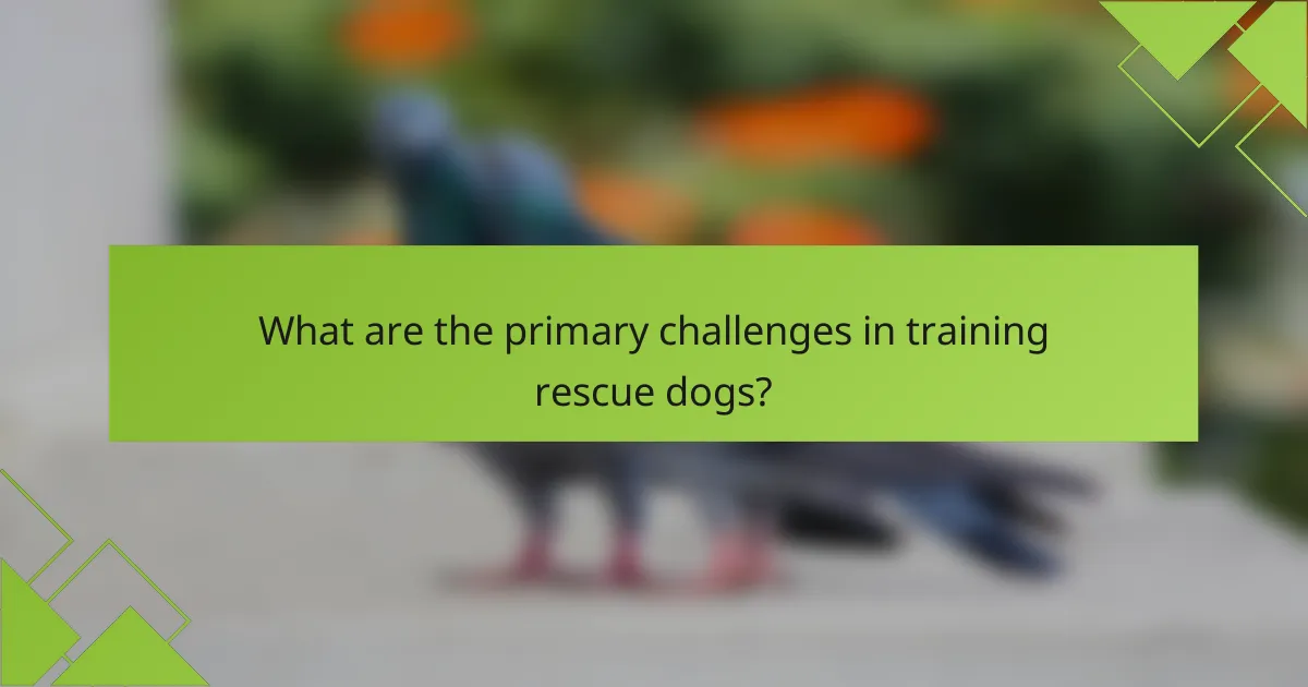 What are the primary challenges in training rescue dogs?