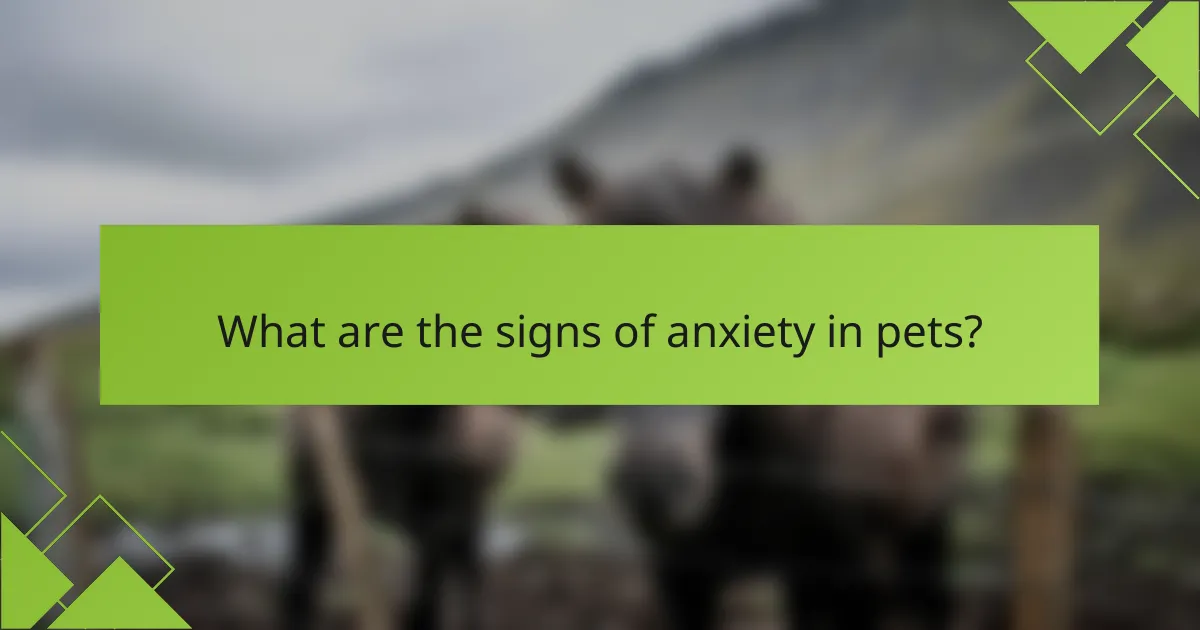 What are the signs of anxiety in pets?