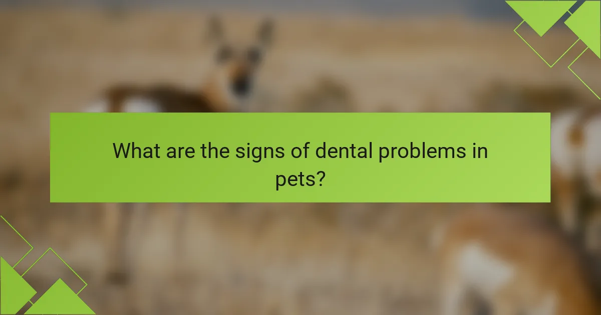 What are the signs of dental problems in pets?