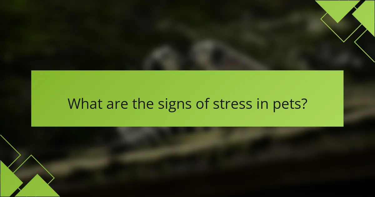 What are the signs of stress in pets?