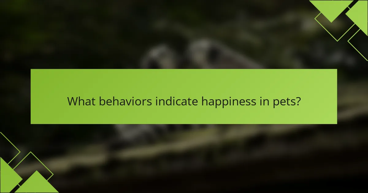 What behaviors indicate happiness in pets?