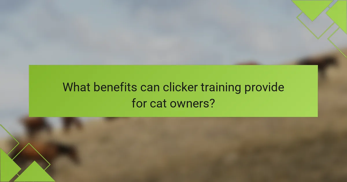 What benefits can clicker training provide for cat owners?