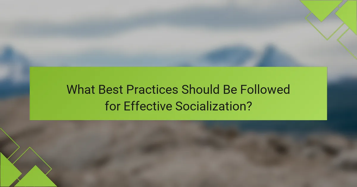 What Best Practices Should Be Followed for Effective Socialization?