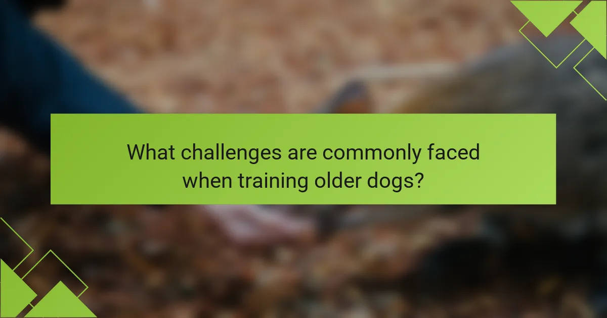 What challenges are commonly faced when training older dogs?