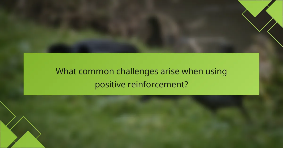 What common challenges arise when using positive reinforcement?