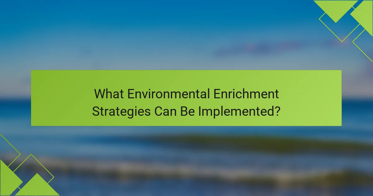 What Environmental Enrichment Strategies Can Be Implemented?