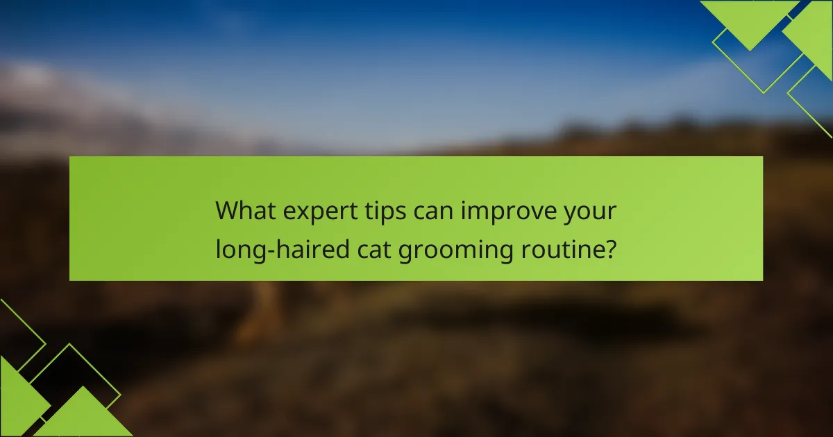 What expert tips can improve your long-haired cat grooming routine?