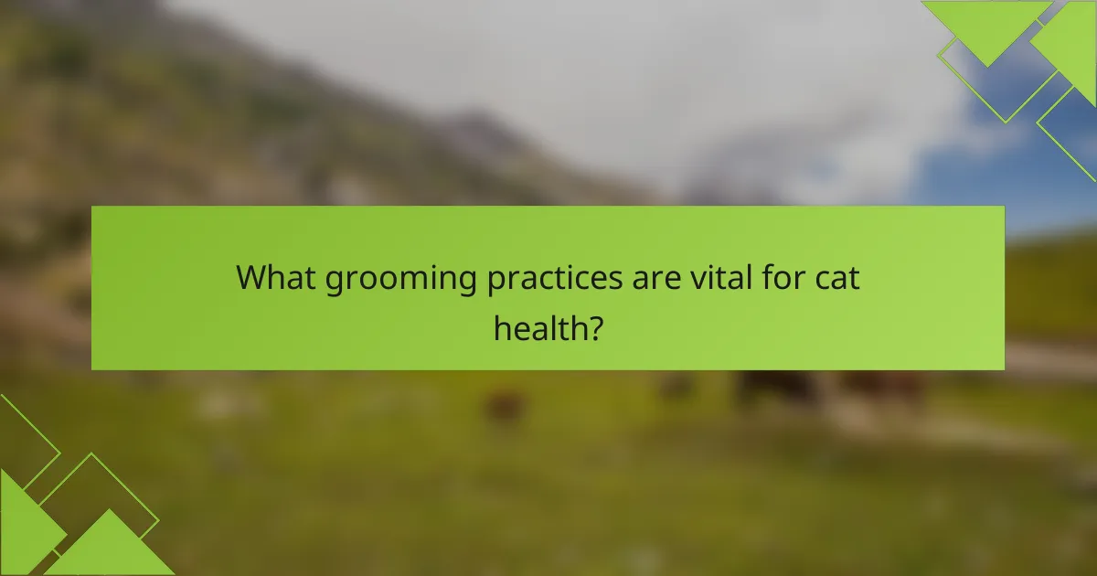 What grooming practices are vital for cat health?