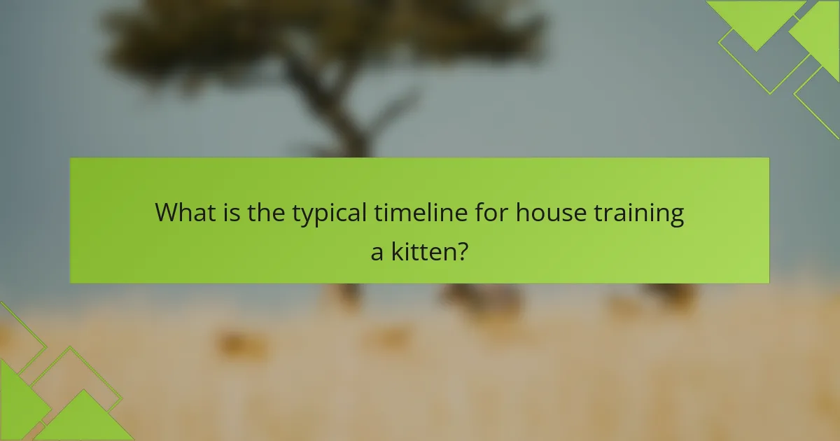 What is the typical timeline for house training a kitten?