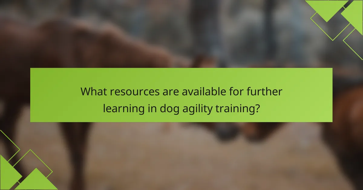 What resources are available for further learning in dog agility training?