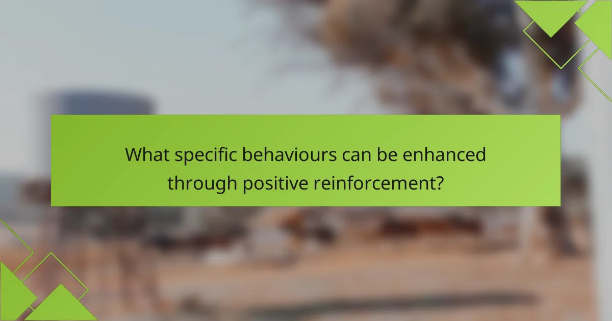 What specific behaviours can be enhanced through positive reinforcement?