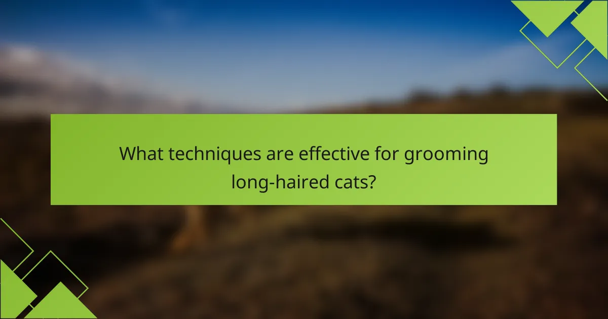 What techniques are effective for grooming long-haired cats?