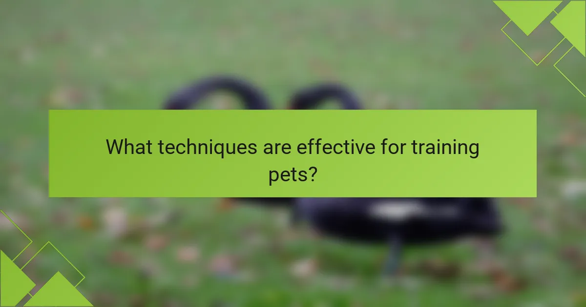 What techniques are effective for training pets?