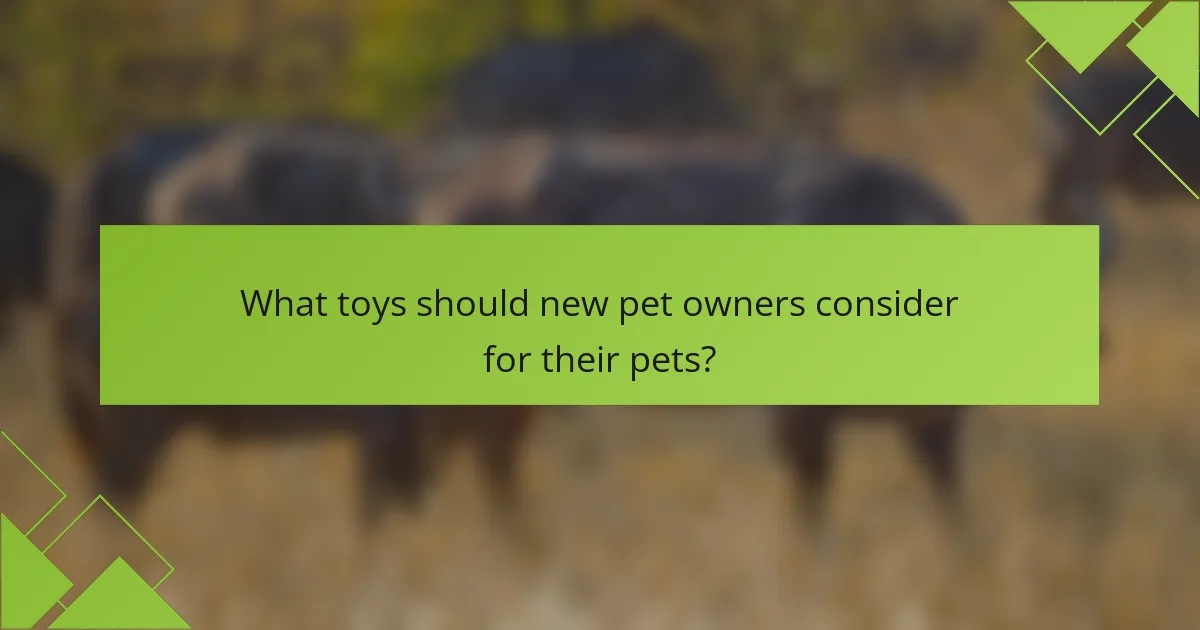 What toys should new pet owners consider for their pets?