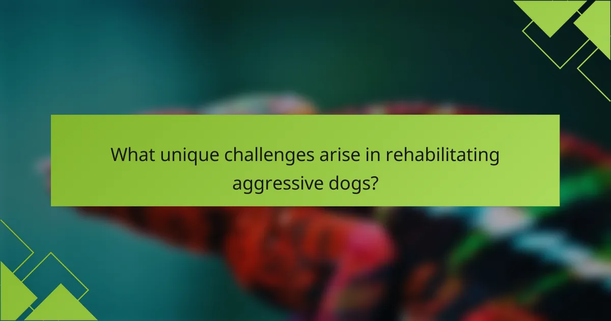 What unique challenges arise in rehabilitating aggressive dogs?