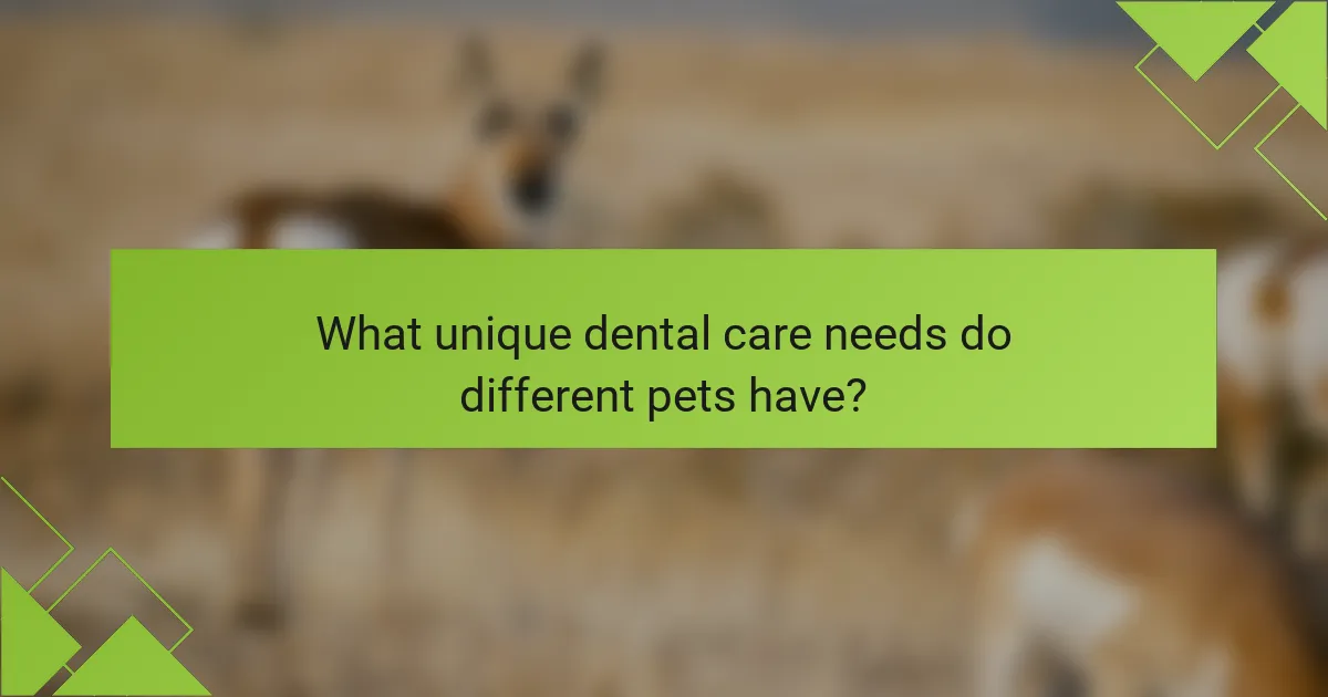 What unique dental care needs do different pets have?