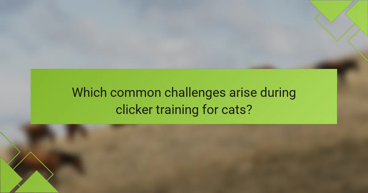 Which common challenges arise during clicker training for cats?