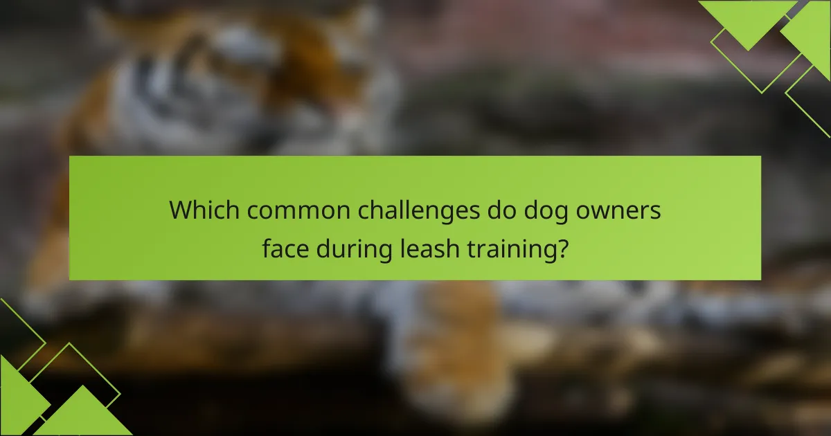 Which common challenges do dog owners face during leash training?