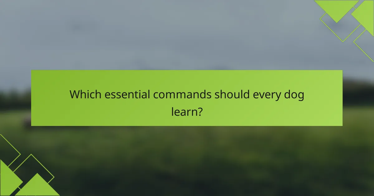 Which essential commands should every dog learn?