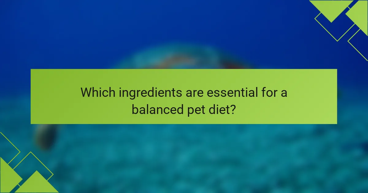 Which ingredients are essential for a balanced pet diet?