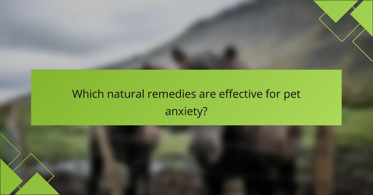 Which natural remedies are effective for pet anxiety?